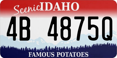 ID license plate 4B4875Q