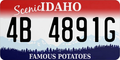 ID license plate 4B4891G