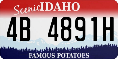 ID license plate 4B4891H