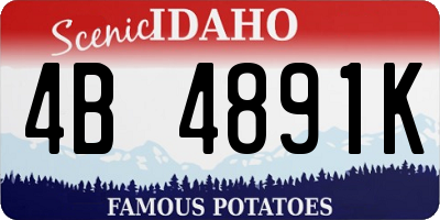 ID license plate 4B4891K