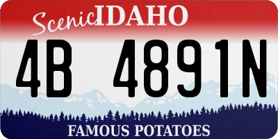 ID license plate 4B4891N