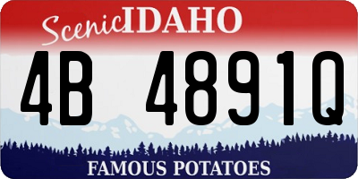 ID license plate 4B4891Q