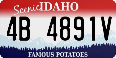 ID license plate 4B4891V