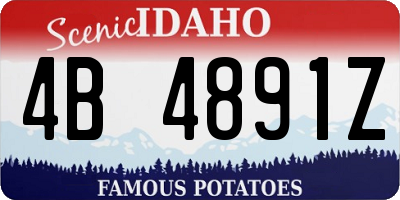 ID license plate 4B4891Z