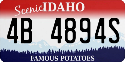 ID license plate 4B4894S