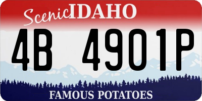 ID license plate 4B4901P
