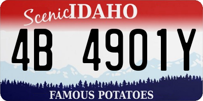 ID license plate 4B4901Y