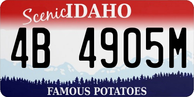ID license plate 4B4905M