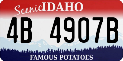 ID license plate 4B4907B