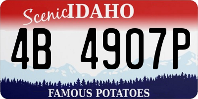 ID license plate 4B4907P