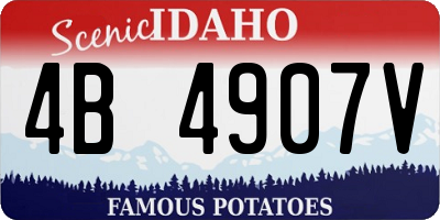 ID license plate 4B4907V