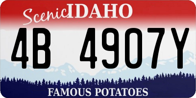 ID license plate 4B4907Y