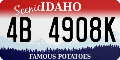ID license plate 4B4908K