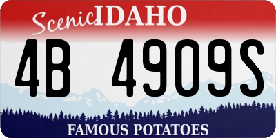 ID license plate 4B4909S