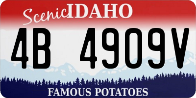 ID license plate 4B4909V