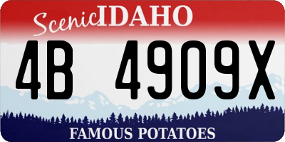 ID license plate 4B4909X