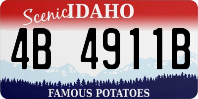 ID license plate 4B4911B