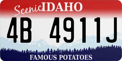 ID license plate 4B4911J