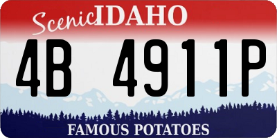 ID license plate 4B4911P