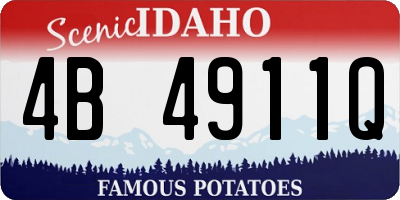 ID license plate 4B4911Q