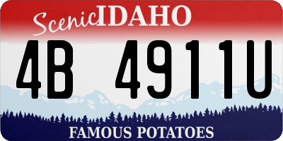 ID license plate 4B4911U