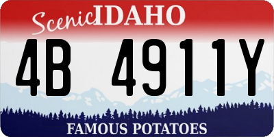 ID license plate 4B4911Y