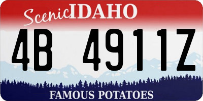 ID license plate 4B4911Z
