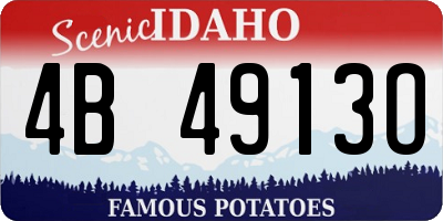ID license plate 4B4913O