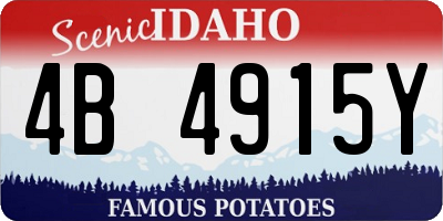 ID license plate 4B4915Y