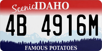 ID license plate 4B4916M