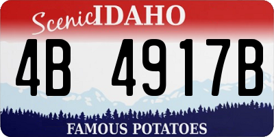 ID license plate 4B4917B