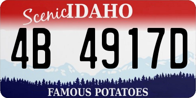 ID license plate 4B4917D