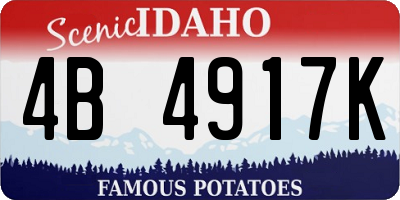 ID license plate 4B4917K