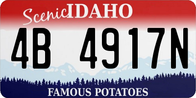 ID license plate 4B4917N