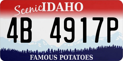 ID license plate 4B4917P