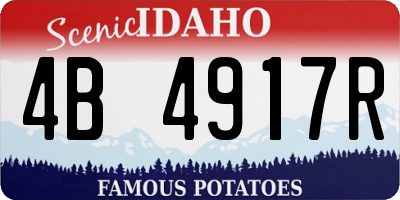 ID license plate 4B4917R