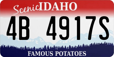ID license plate 4B4917S