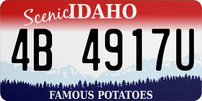 ID license plate 4B4917U