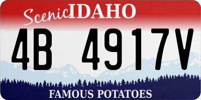 ID license plate 4B4917V