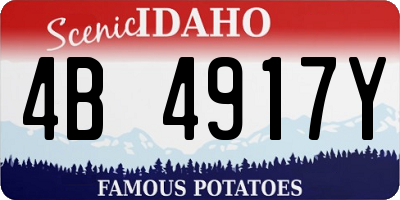 ID license plate 4B4917Y