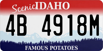 ID license plate 4B4918M