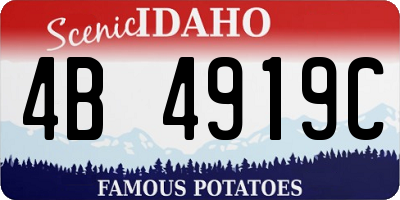 ID license plate 4B4919C