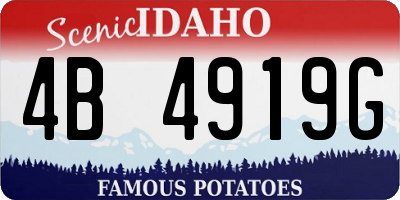 ID license plate 4B4919G