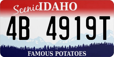 ID license plate 4B4919T