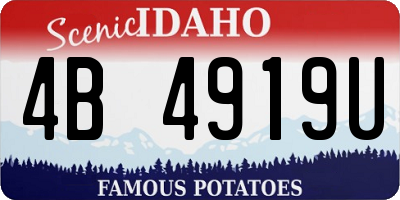 ID license plate 4B4919U