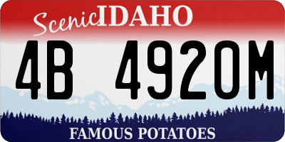 ID license plate 4B4920M
