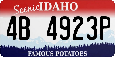 ID license plate 4B4923P