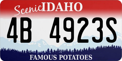 ID license plate 4B4923S