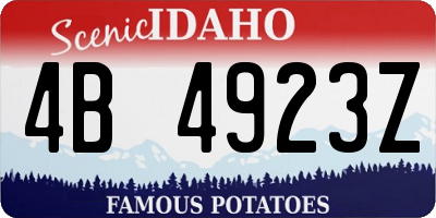 ID license plate 4B4923Z