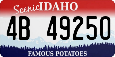 ID license plate 4B4925O